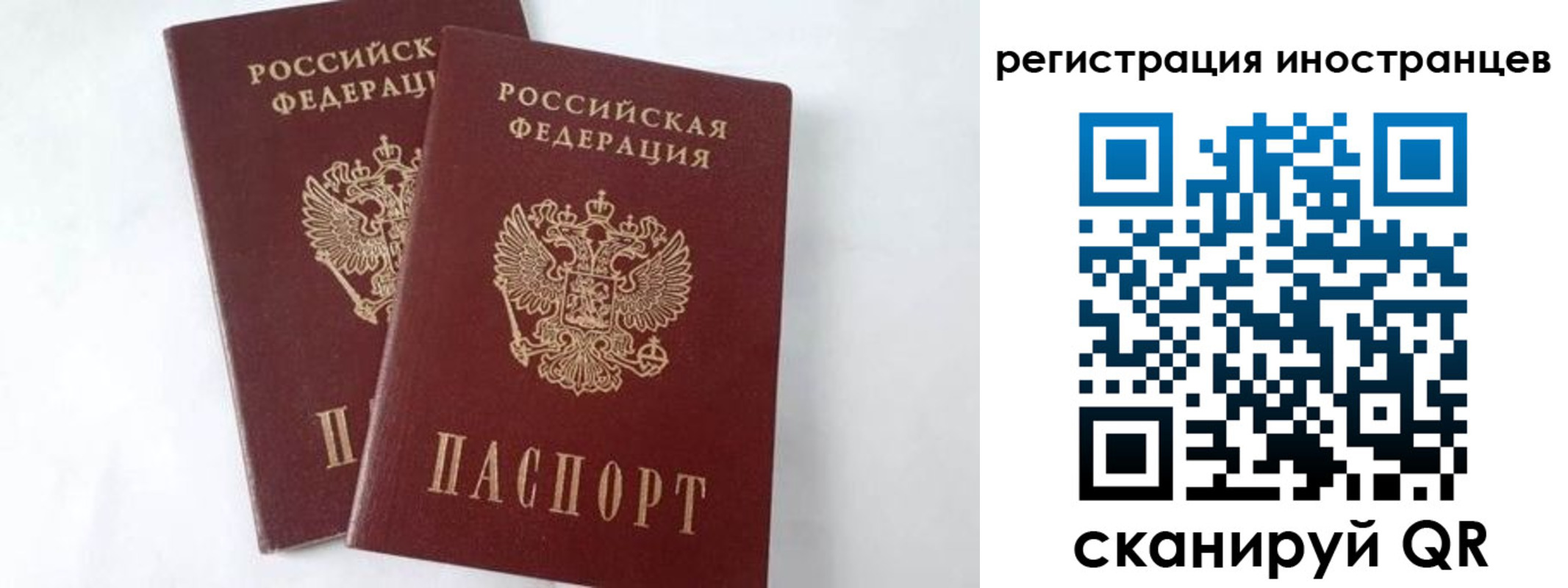 регистрация для школы в Дубовке